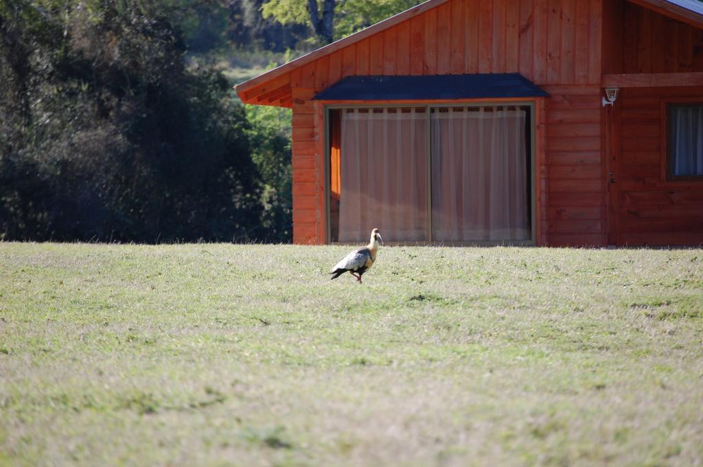 Casa de férias Rancho Saeta Villarrica