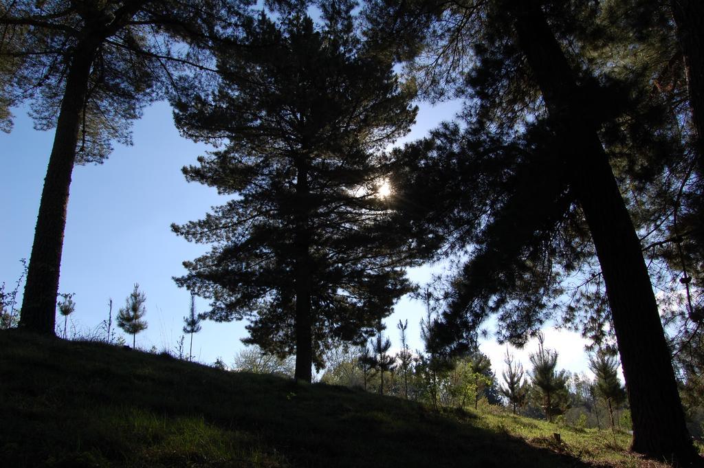 Casa de férias Rancho Saeta Villarrica