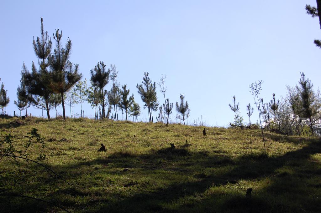 Rancho Saeta