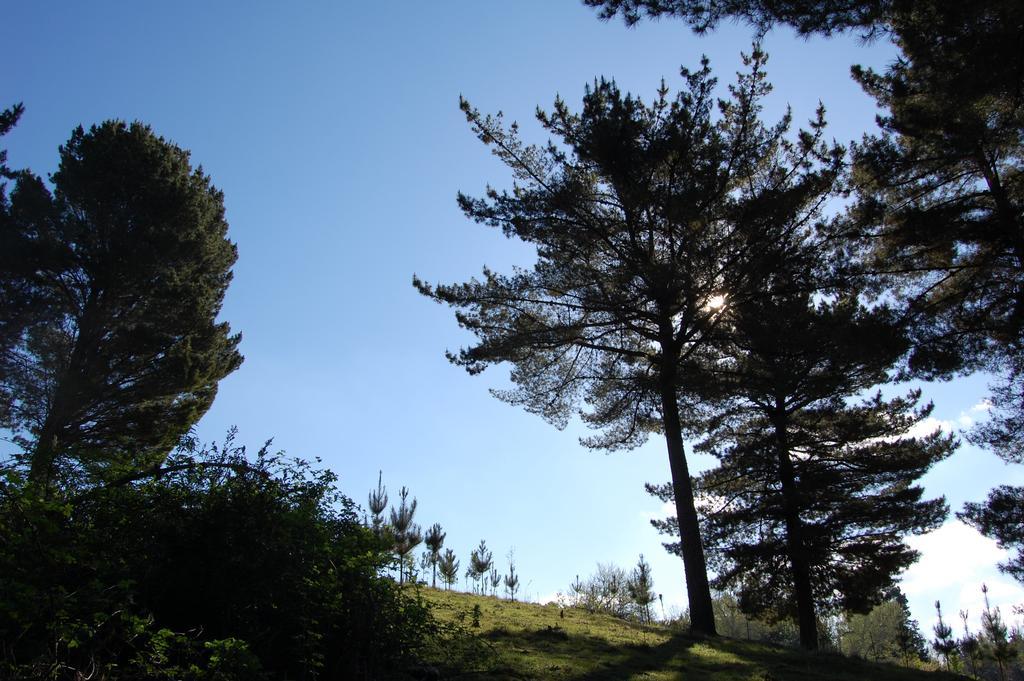 Rancho Saeta Villarrica