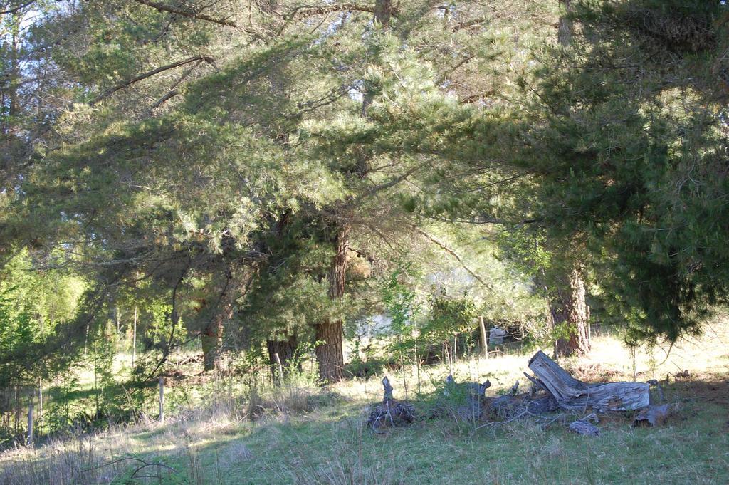 Casa de férias Rancho Saeta