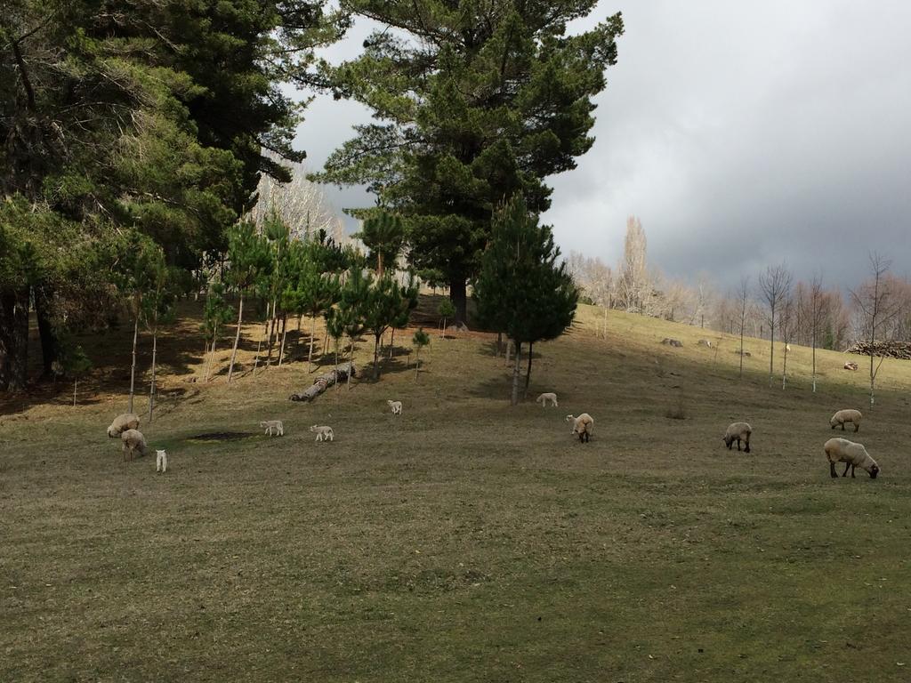 Rancho Saeta Villarrica