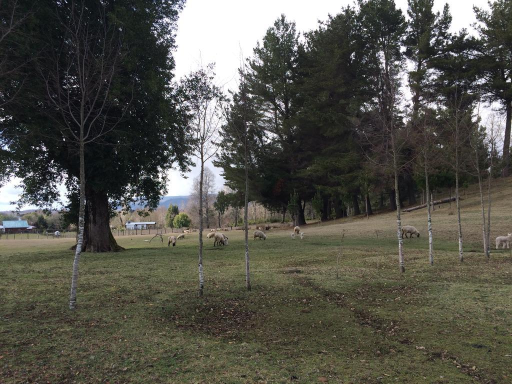 Casa de férias Rancho Saeta Villarrica